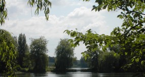 Рыбалка Рыбалка